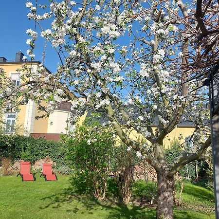 Villa Tini Radebeul Eksteriør billede