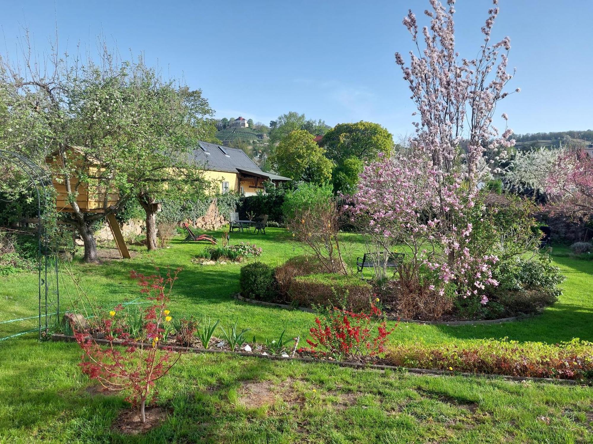 Villa Tini Radebeul Eksteriør billede