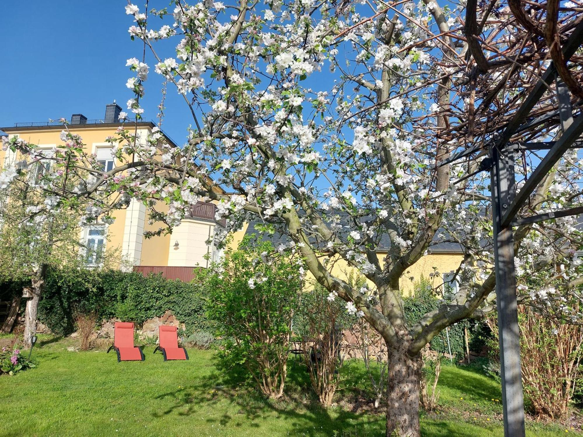 Villa Tini Radebeul Eksteriør billede